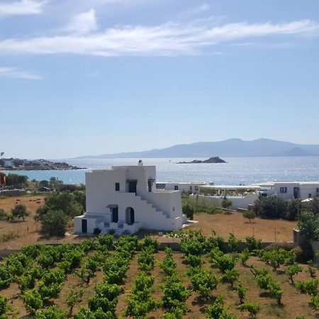 منزل الضيف Matina Naxos - ميكري فيغلا الغرفة الصورة