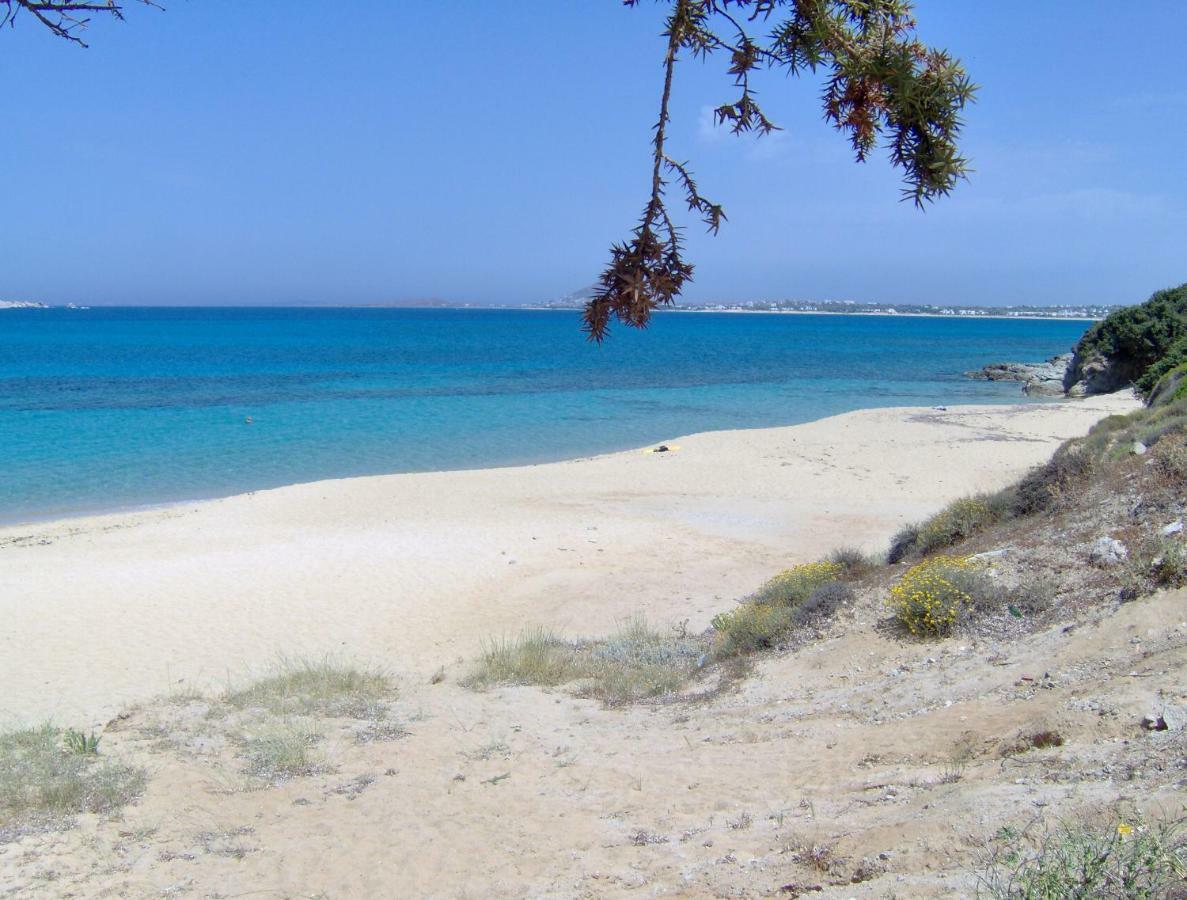 منزل الضيف Matina Naxos - ميكري فيغلا المظهر الخارجي الصورة